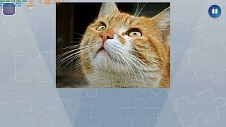 Jigsaw Puzzle Fever Gameplay - Easy Puzzle