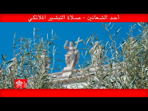 الاحتفال بأحد الشعانين وصلاة التبشير الملائكي، ٢٤ آذار ٢٠٢٤، البابا فرنسيس