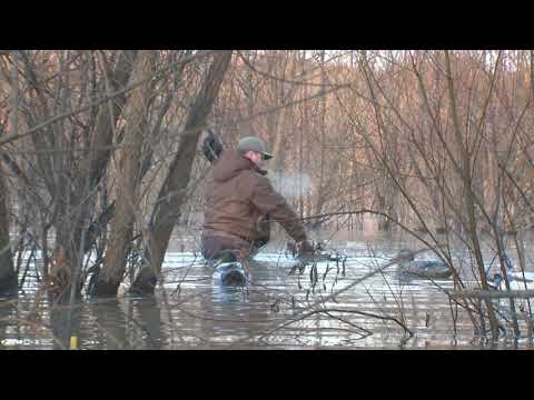 Duck Chatter Ep.36 "Rising Waters"