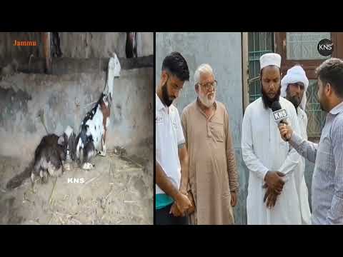 Gujjar-Bakarwal community living near the Tawi River in Jammu has raised concern to the UT administration, seeking urgent measures to protect their lives and livelihoods from recurring floods and poor road conditions.