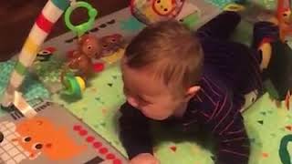 Dogs making babies laugh