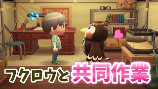 【あつ森#3】虫嫌いなフータがやってきた！【あつまれどうぶつの森】