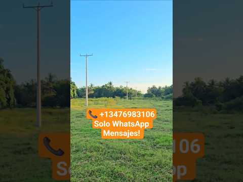 500m2 Lotes Residenciales En Venta en San Luis Talpa, La Paz 🇸🇻#elsalvador #realestate