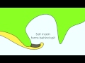 Formation Of A Bar