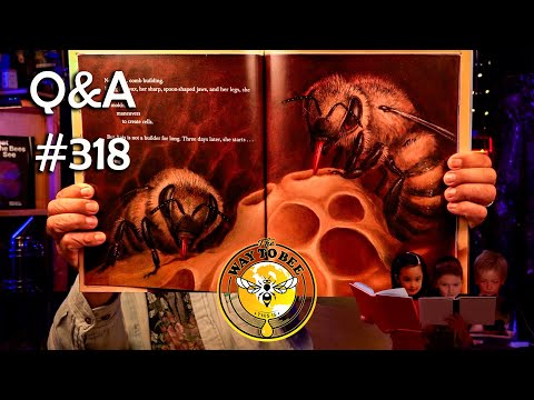 Backyard Beekeeping Q&A 318 August 8th 2025 another nectar flow is on.