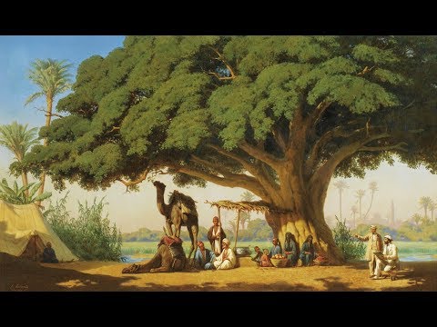 Abdul Hassan Orchestra - Arabian Affair