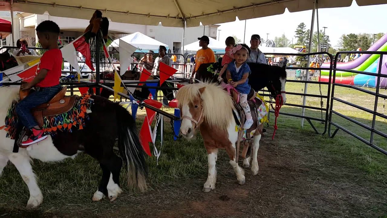 Hire Whitley Acres Exotic Ranch & Stables Petting Zoo in Levelland, Texas