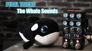 Pedal Tricks - The Whale Sounds