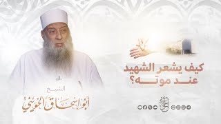 صورة كيف يشعر الشهيد عند موته؟! | للشيخ الحويني