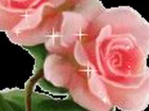 LJILJANA SLJAPIC  -   SOMBORSKE RUZE