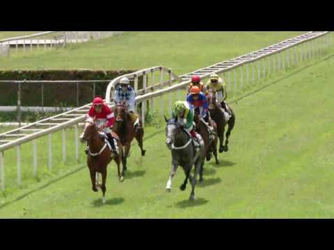 Frauenfeld/25.06.2017/Grosser Preis von Stadler