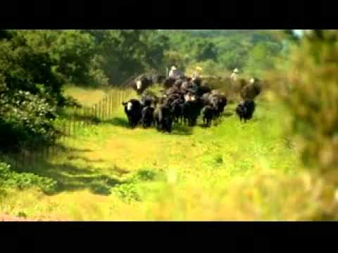 Justin's Ranch-Clip from This Is Not A Rodeo