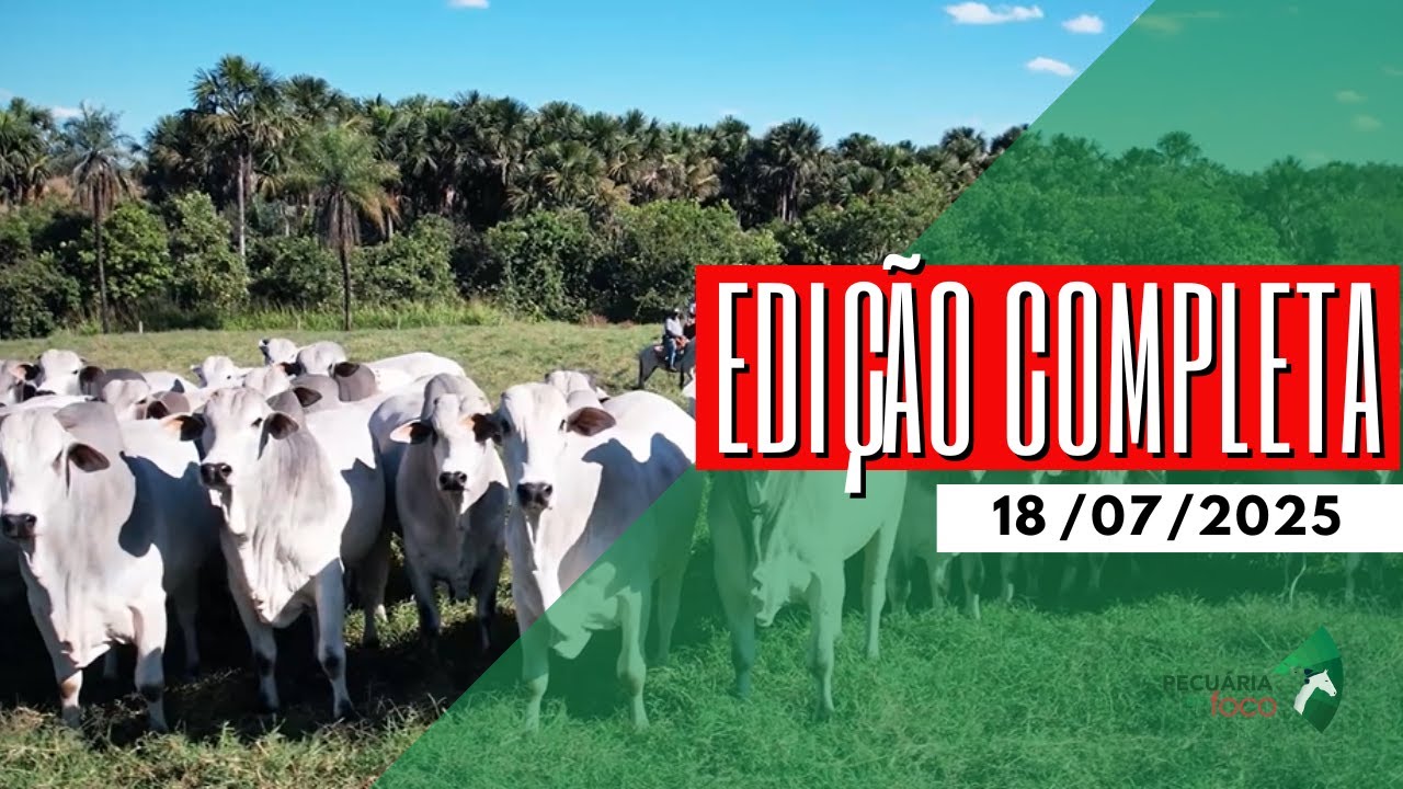 PECUÁRIA EM FOCO - EDIÇÃO COMPLETA - 18/07/2025
