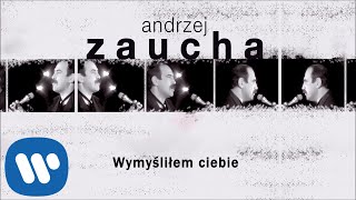 Kadr z teledysku Wymyśliłem Ciebie tekst piosenki Andrzej Zaucha
