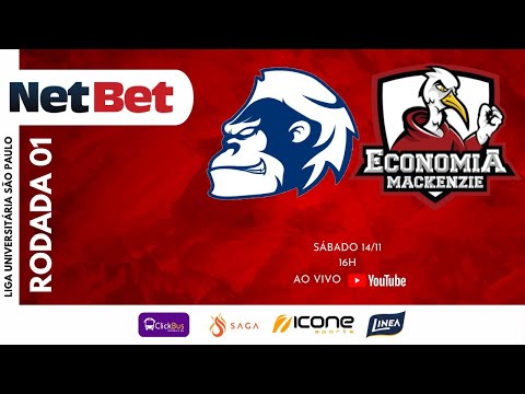 GORILA ANHEMBI X ECONOMIA MACKENZIE - LUSP 2020