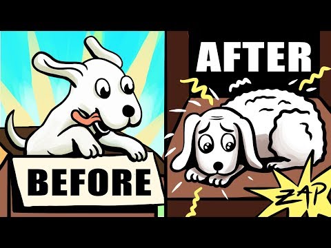 Learned Optimism by Martin Seligman - Animated Book Review