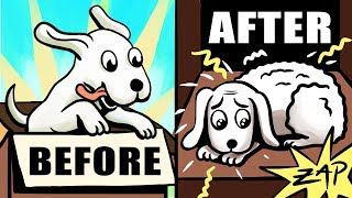 Learned Optimism by Martin Seligman - Animated Book Review
