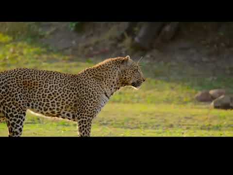 #ThrowbackThursday  Looking back at 'The Year Earth Changed'