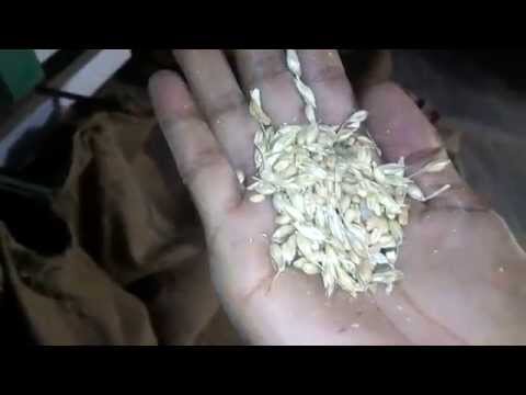 Semi-automatic ss magnetic destoner machine, single phase, c...