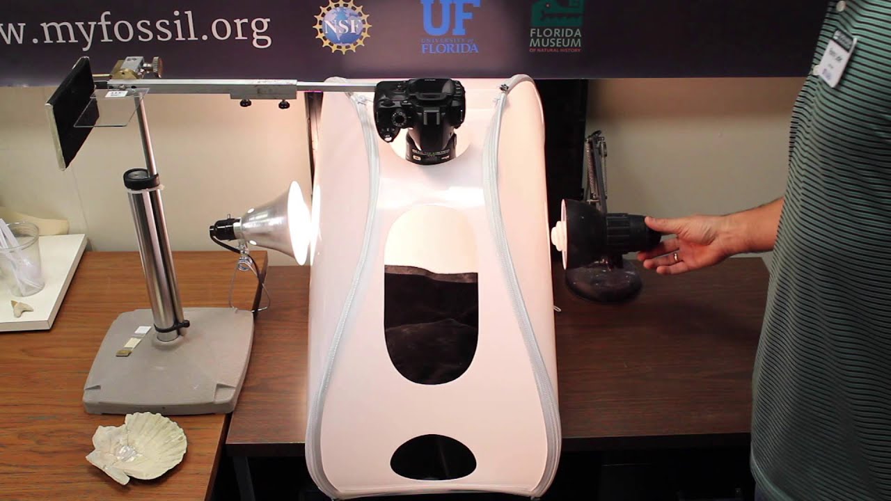 Digitizing your fossil collection