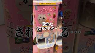 ちい沼リヴァイ #リヴァイ #ガチャガチャ #声真似 #ちいかわ #chiikawa