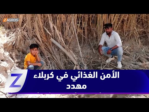 فيديو | كربلاء.. أزمة مياه خانقة في الجدول الغربي تهدد الموسم الزراعي والأمن الغذائي