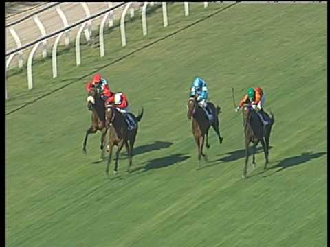 Galoppo 23/06/2017 - 4ª corsa