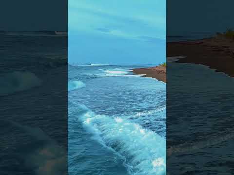 SANSAPORE PACIFICK PARK RESORT TAMBRAUW - PAPUA BARAT DAYA @resort.sansapore @sansapore_resort