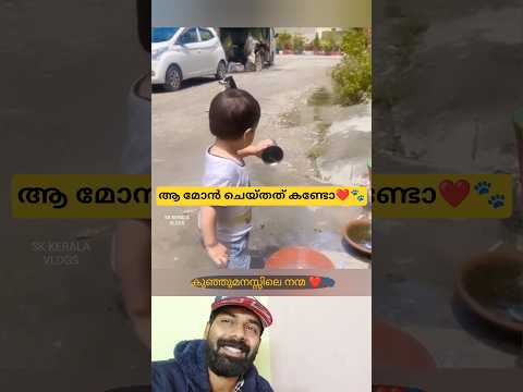 കുഞ്ഞുമനസ്സിലെ സ്നേഹം ❤️🐾