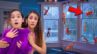 FIRE ANTS Are Taking Over Our New MANSION! *We're in Big Trouble* | Jancy Family