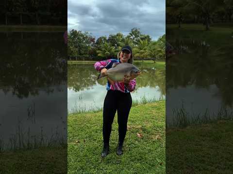 Pesque pague Recanto das águas - Jacinto Minas gerais.