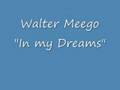 In my Dreams- Walter Meego