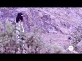 New Oromo Music Buzee 2018