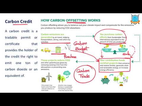 What is Carbon Credit ? || Carbon Credit అంటే ఏమిటి?