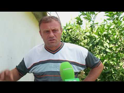 Pasdite ne TCH Highlights, 04/10/2016 - Ngjarja e përdhunimit të 12-vjeçares nga njerku