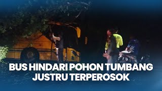 Download lagu Hindari Pohon Tumbang, Bus justru Terperosok dan Tabrak Pohon Perindang di Jembrana Bali mp3