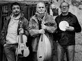 Trio Franolić Mureškić Gabrić Roots