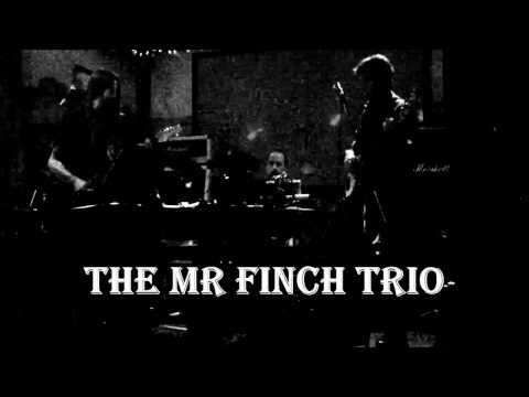Mr Finch Trio performing 