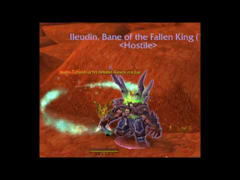 Monk Vs Demon hunter mov