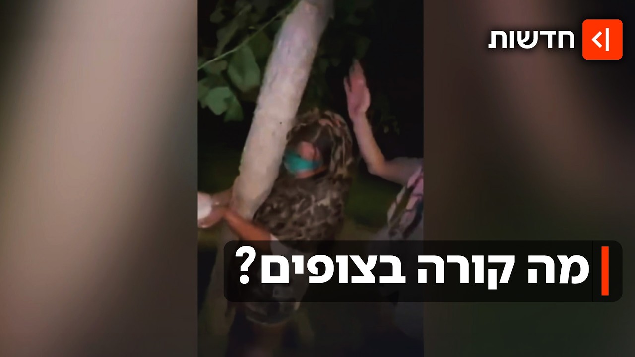 אלימות, הטרדות והשפלות: העדויות המטלטלות על ה"מסורות" בתנועת הצופים