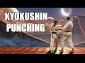 Kumite PUNCHES In Kyokushin Karate 1 Basic Techniques