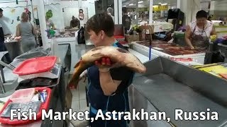 Рыбный рынок в Астрахани где находится
