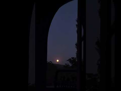 Mozart - Magic flute- Maxim Galkin