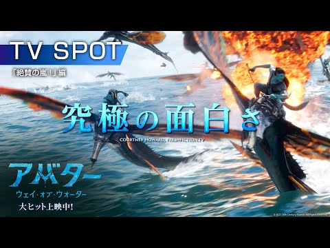 スポット「絶賛の嵐！」編　