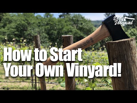 How To Start Your Own Vineyard | Season 1, Episode 1 | How You Can Start a Vineyard