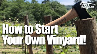 How To Start Your Own Vineyard | Season 1, Episode 1 | How You Can Start a Vineyard 