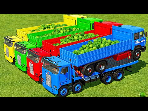 TRANSPORTING WATERMELONS WITH CLAAS WHEEL LOADERS - Farming Simulator 22