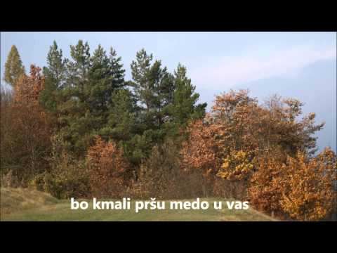 Brkinski Trio - Prelepi Brkini