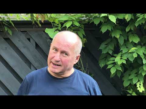 Pullus   Sauvignon 2019