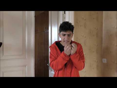 Բիձա/Bidza - «Խենթ ընտանիքը», «Գոգան հեռանում է»